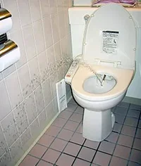 250px-JapaneseToiletBidet.webp