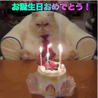 200.gif