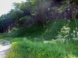 hirabayashi-castle-01.webp