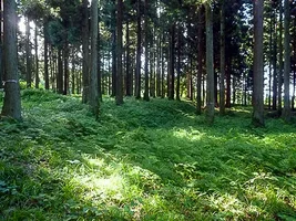 hirabayashi-castle-06.webp