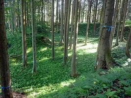 hirabayashi-castle-08.webp
