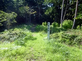 hirabayashi-castle-13.webp