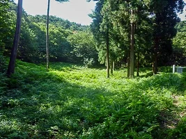 hirabayashi-castle-16.webp