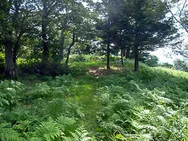 hirabayashi-castle-19.webp