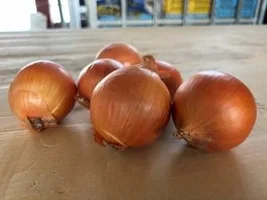 tearless-onions.webp