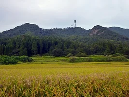tossaka-castle-02.webp