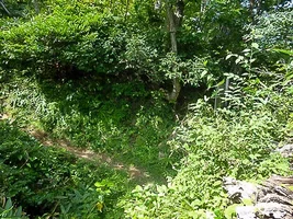 tossaka-castle-10.webp