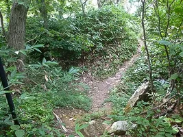 tossaka-castle-12.webp