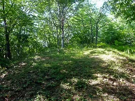 kanayama-castle-09.webp