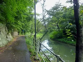 iwaseyama-castle-12.webp