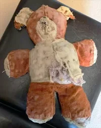 teddy.webp