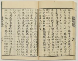 The Ritsuryō System 律令