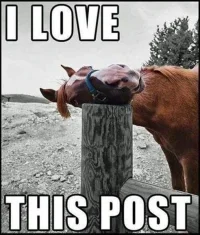 goodPost.webp