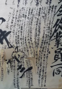 IMG_3114.webp IMG_3114.webp