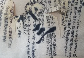 IMG_3117.webp IMG_3117.webp