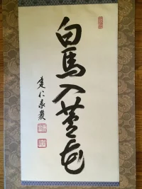 photo 2.webp