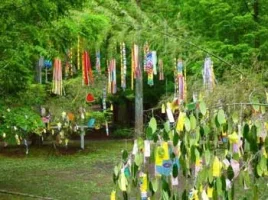 tanabata-cover.webp