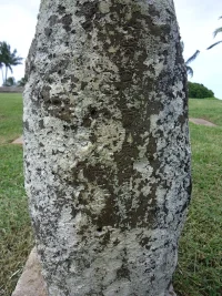 sDSC00823.webp