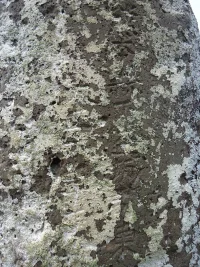 sDSC00825.webp