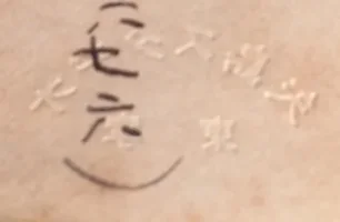 image.webp