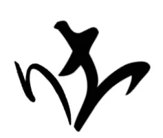 SE.webp