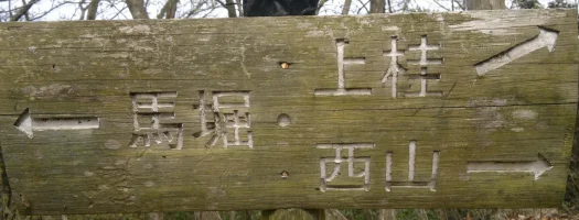 Wood Walk (1).webp