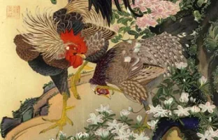 cover-ito-jakuchu.webp