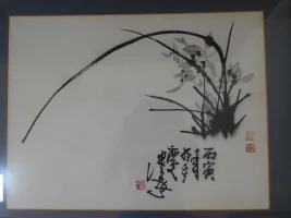 dscn0924.webp