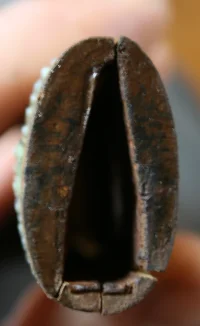 tsuka2.webp
