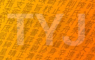TYJ-amber.webp