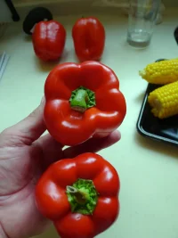aP1010012.webp