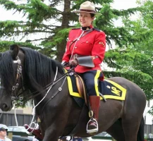 RCMP.webp