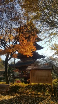 20161209_120357.webp