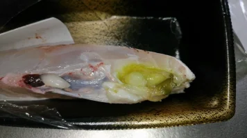 DSC_2003.webp DSC_2003.webp