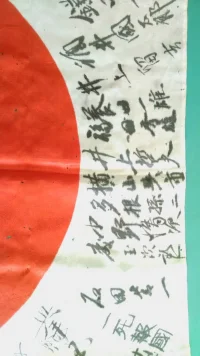 Flag shots 013.webp