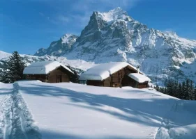Grindel01.webp