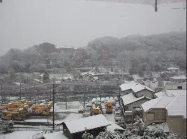 snowing.webp