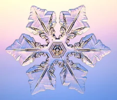 snowflake03.webp