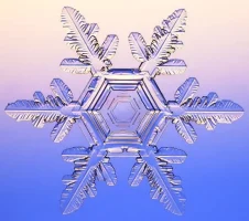 snowflake04.webp