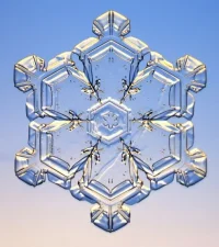 sixdancerflake.webp