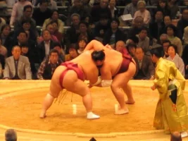 fighto.webp