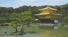 2158_01.jpg11.webp