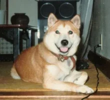 JIRO01a.webp