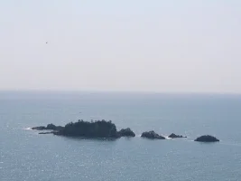 view3.webp
