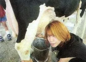 shinya and a cow.webp