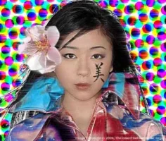 HIKKI1.webp