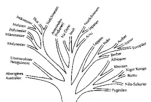 lingotree.webp