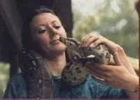 snake.webp