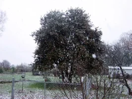 DSC02835.webp