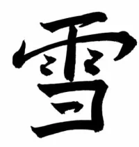 5.webp